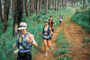 BIB: 
                            <button type="button" onclick="openModal(25654478)" class="btn btn-primary btn-sm float-right btn-popup" data-toggle="modal" data-target=".modal-high-quality">
                        <i class="fas fa-shopping-cart"></i> Add to Cart
                    </button>
                                            <button type="button" onclick="isThisMe(25654478, true)" class="btn btn-success btn-sm float-right btn-popup btn-isme hidden" data-toggle="tooltip" data-placement="bottom" title="นี่คือรูปของคุณใช่ไหม คลิกที่นี่เพื่อเอาเข้าอัลบั้ม">
                        <i class="fas fa-plus"></i> Add to album
                    </button>
                    <button type="button" onclick="isThisMe(25654478, false)" class="btn btn-warning btn-sm float-right btn-popup btn-isnotme hidden">
                        <i class="fas fa-ban"></i> Remove from album
                    </button>